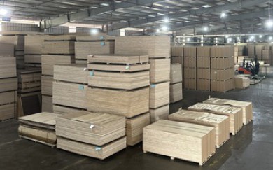 152 doanh nghiệp ngành gỗ dán 'cầu cứu' Bộ Công thương